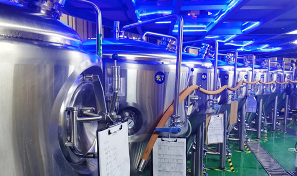 Asia 500L Craft Brewery