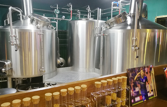 Aisa Carft Beer Brewery Project